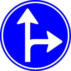 RVV Verkeersbord – D06R Verplichte rijrichting rechtdoor of rechtsaf